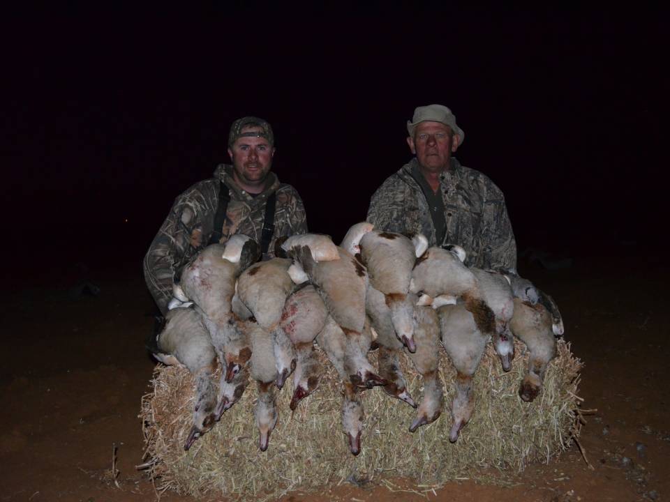 Goose Hunting - Afternoon Field Hunt in South Africa.jpg